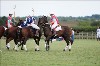 UKPA NC SAT_2765